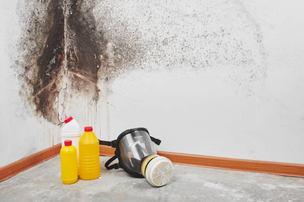 Best Mold Removal Process  in Sweetwater, TX