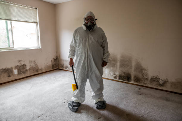 Best Local Mold Removal Service  in Sweetwater, TX